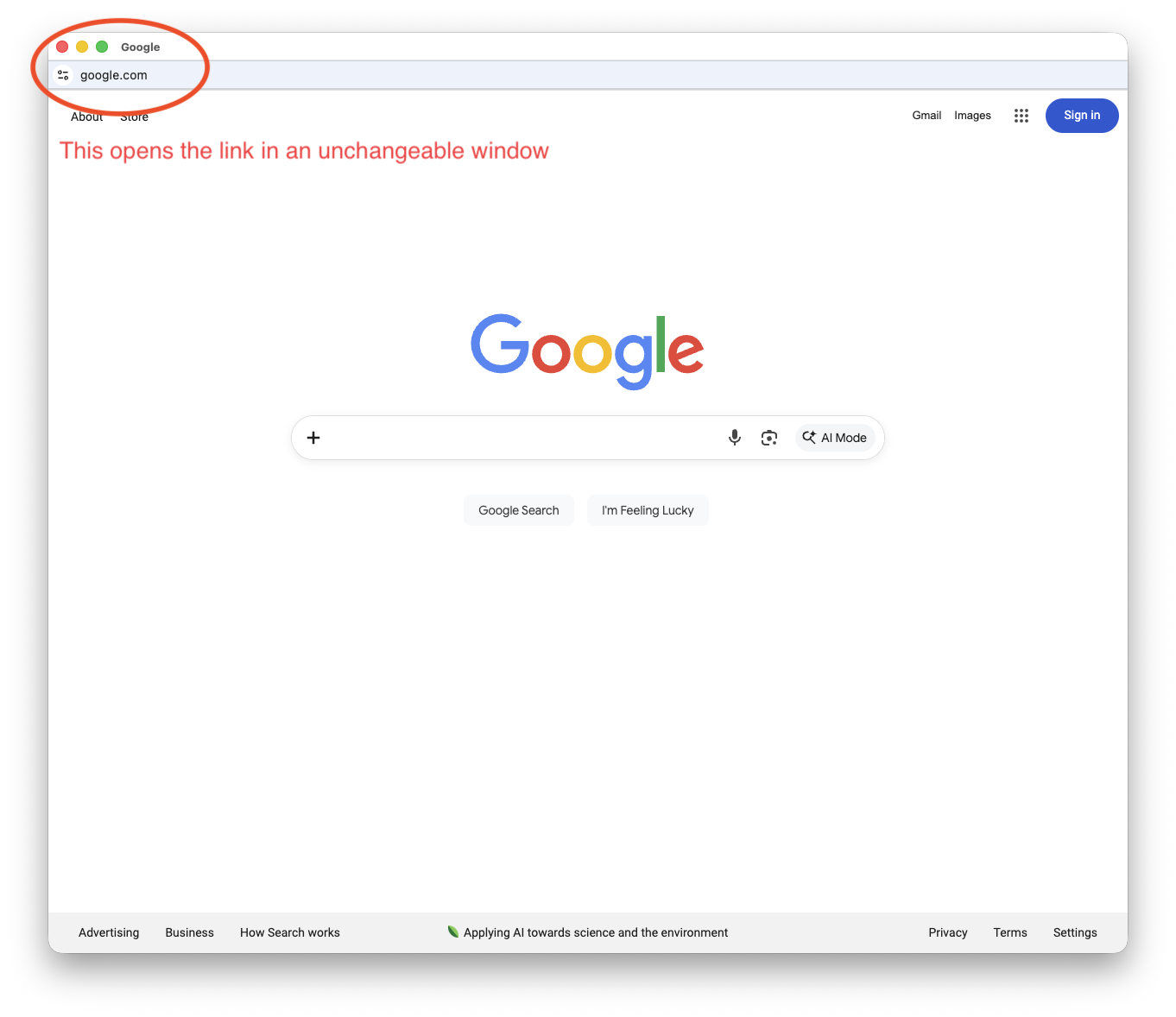 Image of google dot com